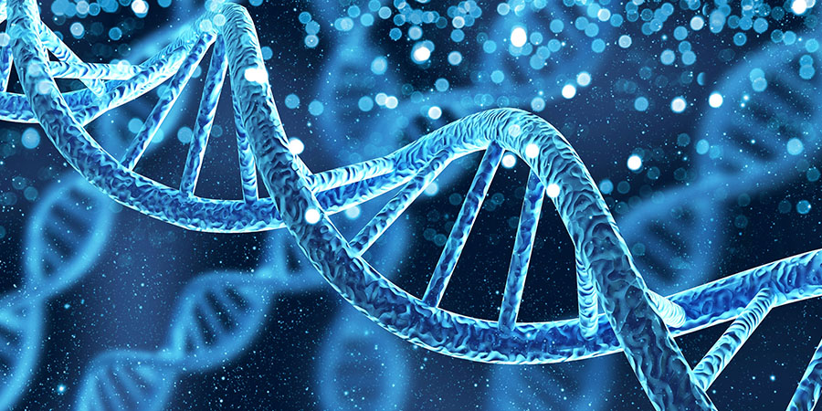 Biochemistry, Cellular, and Molecular Biology