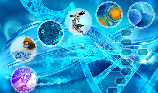 Dept_Biochemistry and Molecular Biology