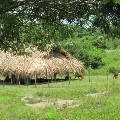 Project site Peru
