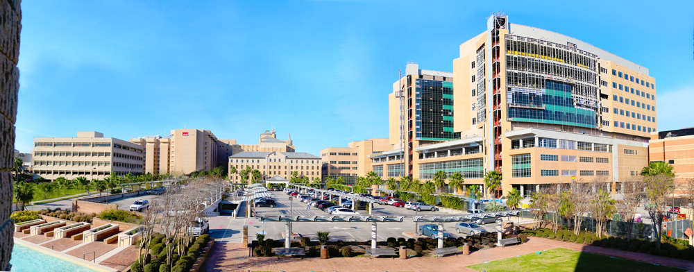 Jennie Sealy Hospital