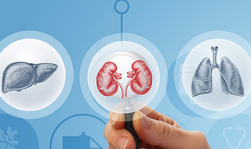 Office Clinical Education_header_small
