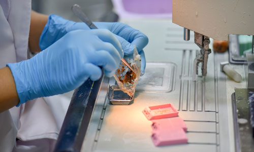 Close up image of gloved hands taking a specimen out of a plastic wrap in front of a microscope