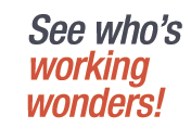 graphic for working wonders 